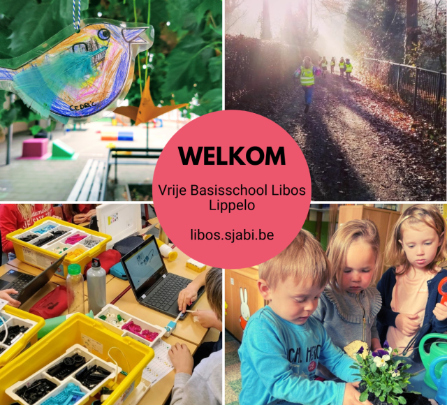 Welkom in Basisschool Lippelo